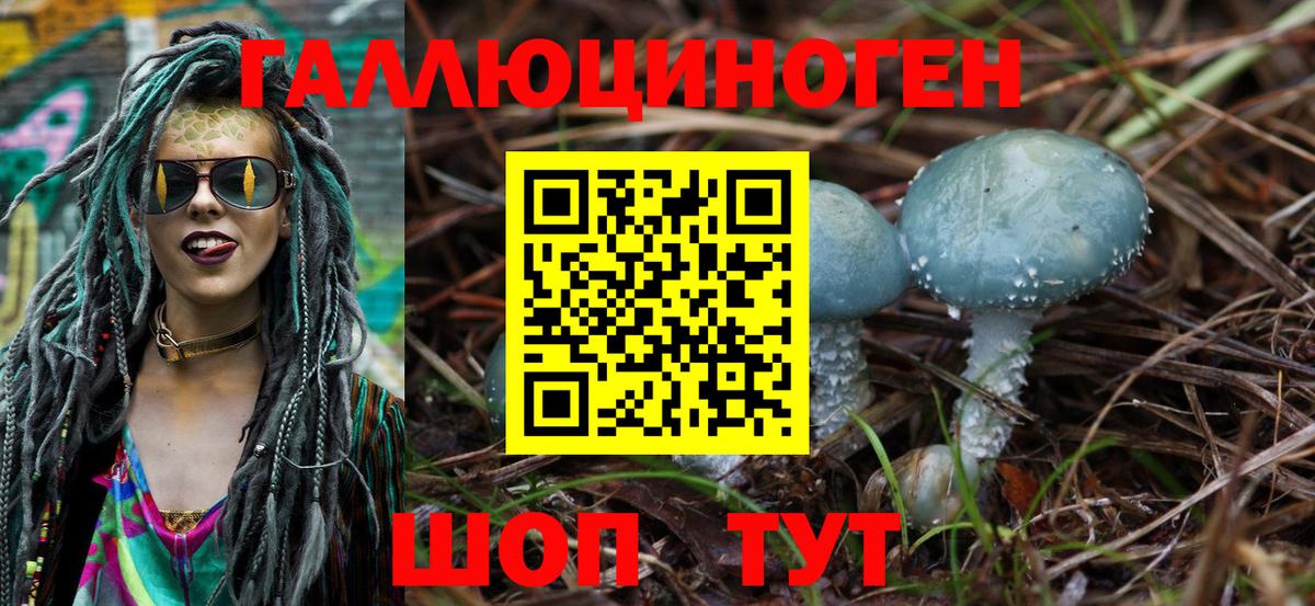 Ревда  Галлюциногенные грибы MAGIC MUSHROOMS  Вход с VPN  Псилоцибиновые грибы прущие грибы 